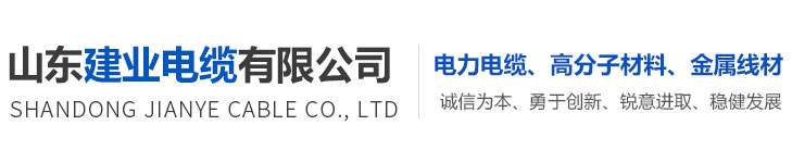 <p><strong>山東建業電纜有限公司</strong></p>